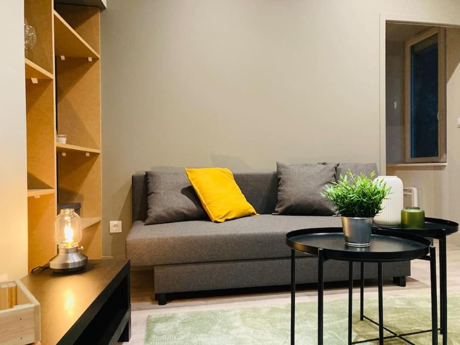 Vienne: Appartement Au Coeur Du Centre Historique 维也纳 外观 照片