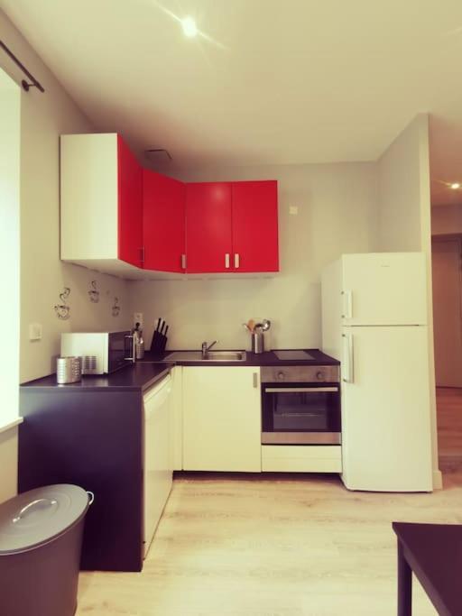 Vienne: Appartement Au Coeur Du Centre Historique 维也纳 外观 照片